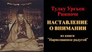 Тулку Ургьен Ринпоче. Наставление о внимании (из книги "Нарисованное радугой")