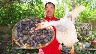 HUGE Goose Stewed with Bucket of Sea Snails! Weird but Tasty Combination!  | Uncle Rural Gourmet