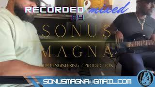 Sonus Magna Audio Comparison 1.  Hear the Difference: Professional Audio vs. Camera Audio!