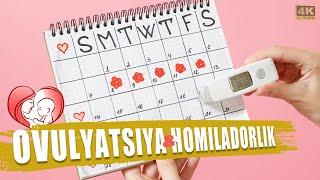 OVULYATSIYA va HOMILADORLIK | ОВУЛЯЦИЯ ва ХОМИЛАДОРЛИК | Овуляция пайтида ХОМИЛА булиш мумкинми ???