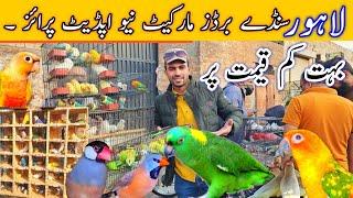 Lahore sunday birds market New update a gai Big offers Bzar Band ????? #lahorientertainmentchannel