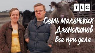 Все при деле | Семь маленьких Джонстонов | TLC