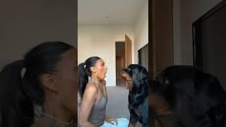 he wanted a kiss  @nalatheneedyrottie #rottweiler