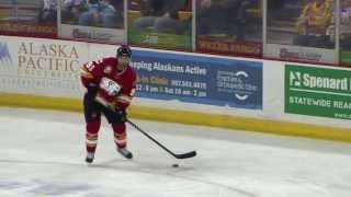 HIGHLIGHTS: ECHL Hockey Heritage Weekend, Alaska 5 - Stockton 2 (2-8-14)