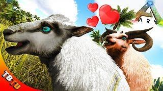 BEST WAY TO BREED OVIS! ARK MUTTON FARM! Ark: Survival Evolved E42