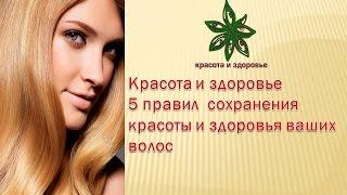 Красота и здоровье 5 правил  сохранения красоты и здоровья ваших волос