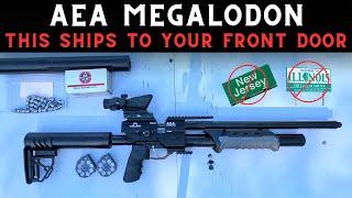 Guess What Just Arrived? A Pump Action Slug Gun! AEA Megalodon - Let's Give It a Go!