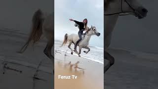 Feruz Tv