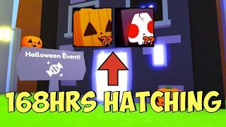 HATCHING WEEK STRAIGHT FOR HUGE GRIM REAPER & PUMKIN CAT IN PET SIMULATOR X! HALLOWEEN EVENT! ROBLOX