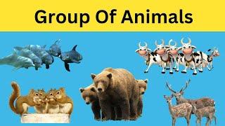 Learn Group Of Animals Called || Group Of Animal Names For Kids || Kidzone