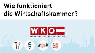 WKW - Wie funktioniert die Wirtschaftskammer?