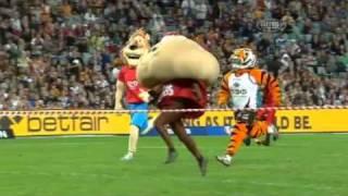 Mascot race in SFS ( 2011 W.Tigers vs Broncos halftime)