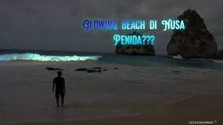 glowing beach di Indonesia?