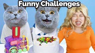 Join My Warm Acts And Fun Adventures! | Oscar‘s Funny World | New Funny Videos 2024