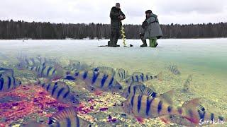 ОПУСТИЛ ПОД ЛЁД ПРИКОРМКУ И МОТЫЛЯ! ЧТО ВЫБЕРЕТ РЫБА??? Зимняя рыбалка