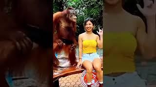 Instagram Hot girls tik tok video comedy Instagram viral reels#shorts#trend##reels