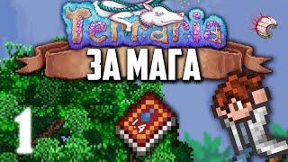 Terraria 1.4 за Мага #1 • Самое начало