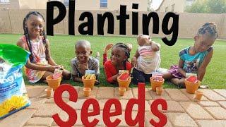 PLANTING SEEDS. Garden potting Cheatham Family kids Watermelon and Corn Surprise Growth