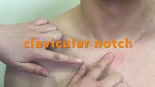 Palpation of bony landmarks on Manubrium and Clavicle.