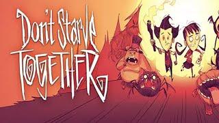  Енот ищет покушать в Don't Starve Together - #1