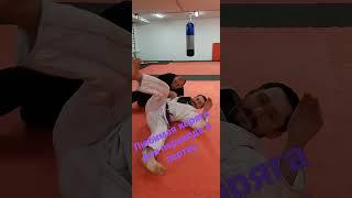 Простой способ перевода в партер для bjj