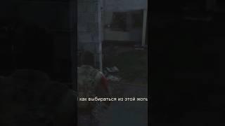 Стример остряк? [ Last of Us ] #shorts