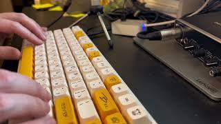 Silicon O-ring dampeners vs Pour-in Silicon for molds - Mechanical Keyboard Silencing mod
