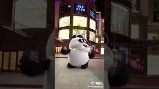 Funny TikTok panda dance!