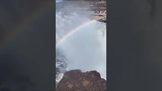 “Bifrost" above world's biggest yellow waterfall | Journey to the wild #shorts