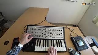 Синтезатор Moog Sub Phatty Обзор/Демонстрация/Распаковка/Overview/Demonstration/Unpacking