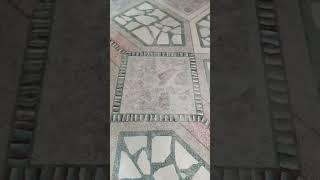 Terrazzo Flooring | Terrazzo floor installation | #terrazzo  #short #shorts