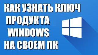 Как узнать ключ Windows на своем ПК ноутбуке