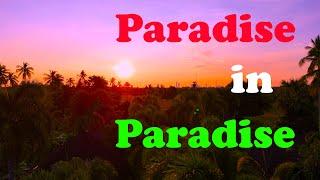 Where I live in Thailand - Tiger House - Pattaya. Pure paradise at a very affordable price! EP 33