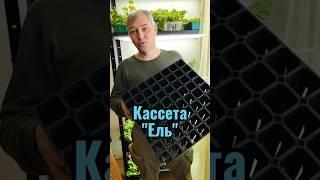 Кассета для черенкования хвойных и кустарников модель "Ель" #шорт #diy #дача #черенки #кассета