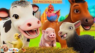 Old MacdDonald Had A Farm | Nursery Rhymes & Kids Songs | IshKids | Version 2