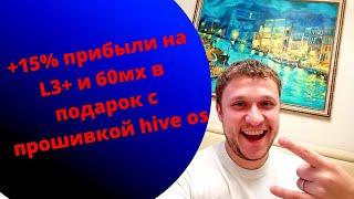 Расчёт прибыли от прошивки Hive OS на Antminer L3+. 