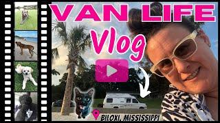 Day in the life Living in a Van with Dogs | Van Life Vlog