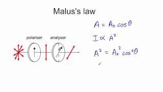 Malus' law