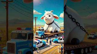 ️ Evolution of Cat : Goat's Transporting  Maiw Milky  #cat #cute #love #shorts