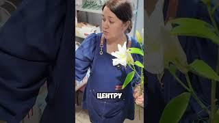 Как собрать букет на каркасе? #цветы