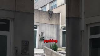 He didn't expect that...  (khedoori)