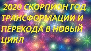 ГОРОСКОП СКОРПИОН 2020 ТАРО СКОРПИОН  2020 ЧТО ПО СУДЬБЕ ЧТО ЖДЕТ  БУДЕТ 2020 онлайн гадание tarot