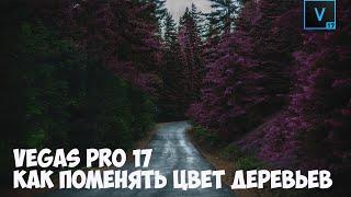 Vegas Pro 17 Как изменить цвет дерева в видео. Урок #10