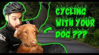 AWESOME DOG BACKPACK CARRIER | How to cycle with your dog | K9 Backpack