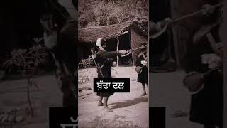 shastar Vidya ll budha dal ll gaini surinder singh ji ll Nihung budha dal