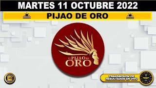 Resultado loteria PIJAO DE ORO ️del MARTES 11 de OCTUBRE de 2022 (ULTIMO SORTEO DE HOY) l