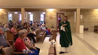 Father Brian Homily July 7, 2024