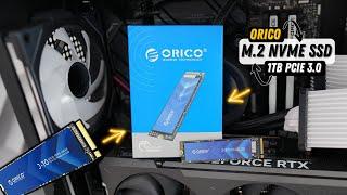 ORICO J-10 M.2 NVMe SSD Review : 1TB under $60  How To Install and Setup