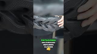 Patagonia's Eco-Friendly Mission: Building a Sustainable Clothing Brand