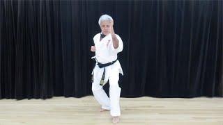 Yansu Kata - Russell Bianca, Brooklyn Kenshikai